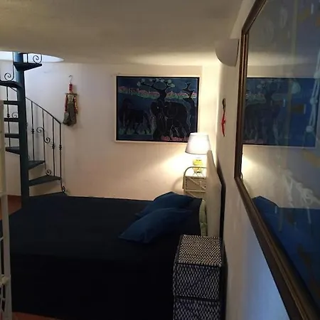 Gialla A Pochi Passi Dal Mare
